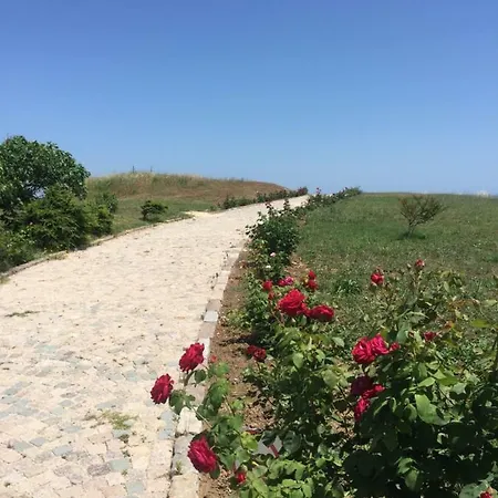 Апартаменты Renta Bg In *