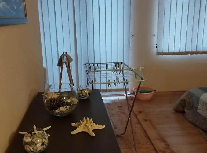 Renta Bg In Apartamento