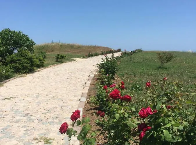 Apartamento Renta Bg In *